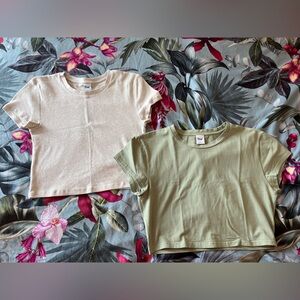 TNA Cream and Green Cropped T-Shirts Size Large